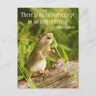 Baby Chipmunk Try Quote Briefkaart