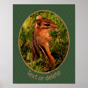 Baby Chipmunk Wildlife Animal Art - Gepersonalisee Poster