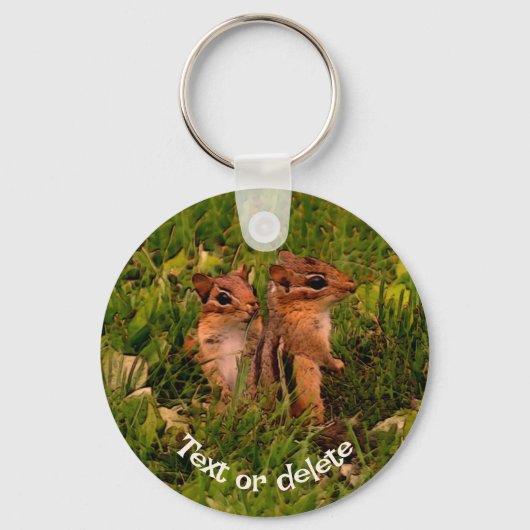 Baby Chipmunks Animal Art, gepersonaliseerd Sleutelhanger (Voorkant)