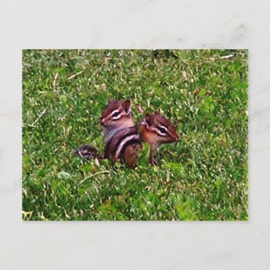 Baby Chipmunks Carte postale animal de premier jou (Devant)