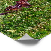 Baby Chipmunks Collage 1 Dierpotlood Art Poster (Hoek)