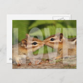 Baby Chipmunks Love Design Carte postale (Devant / Derrière)