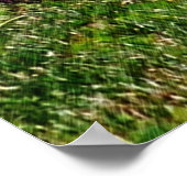 Baby Chipmunks Premier Jour #2 Poster animal (Coin)