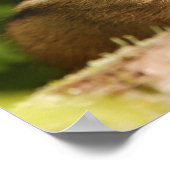 baby-chipmunkzussen poster (Hoek)