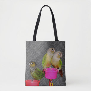 Baby Conure Papegaaien Dier Draagtas
