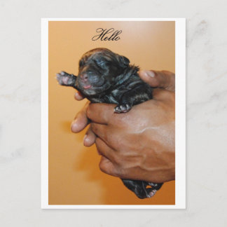 Baby Corso II Briefkaart