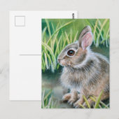 Baby Cottontail Bunny Rabbit Waterverf Art Briefkaart (Voorkant / Achterkant)