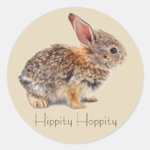 Baby Cottontail Rabbit Ronde Sticker