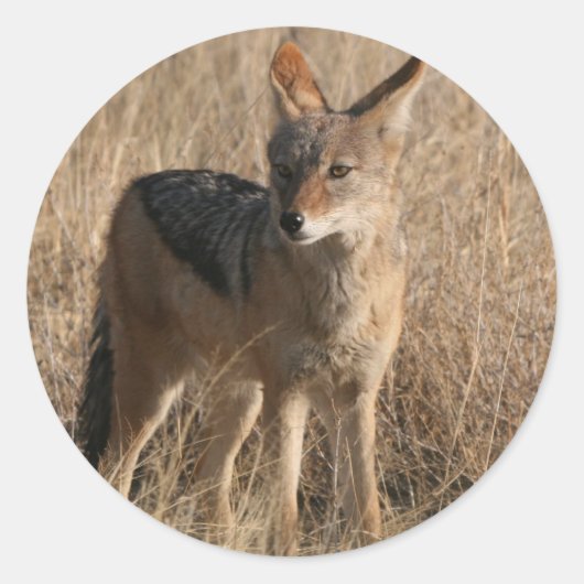 Baby Coyotes-Stickers Ronde Sticker (Voorkant)