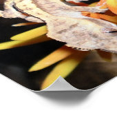 Baby Crested Gecko Print/Poster Poster (Hoek)