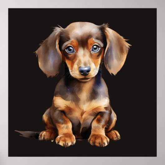 Baby Dachshund Poster (Voorkant)