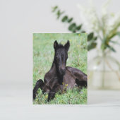 Baby dat in de weide ligt briefkaart (Staand voorkant)