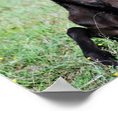 Baby dat in de weide ligt poster (Hoek)