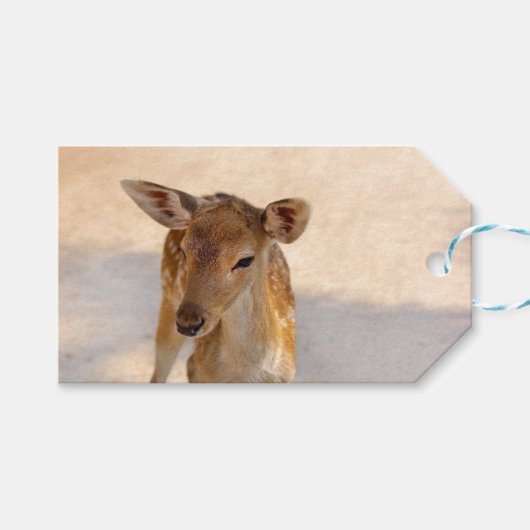 Baby Deer Cadeaulabel (Voorkant (Horizontaal))