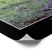 Baby Deer Fawn Photo & Poem Poster (Coin)