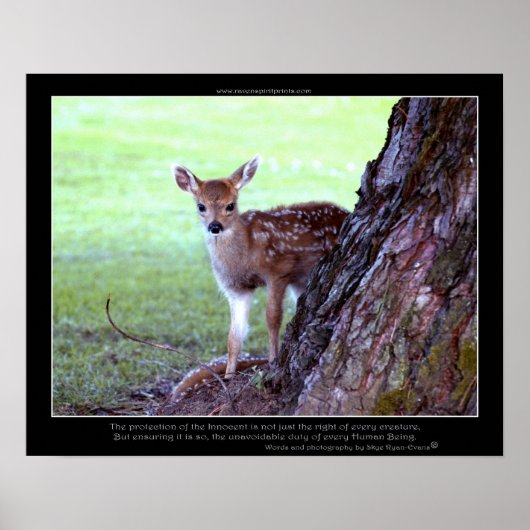 Baby Deer Fawn Photo & Poem Poster (Devant)