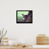 Baby Deer Fawn Photo & Poem Poster (Cuisine)