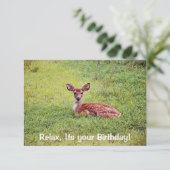 Baby Deer Fawn Relaxant Appartement Carte d'annive (Debout devant)