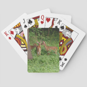 Baby Deer Pow-wauw-fietskaarten Speelkaarten