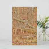Baby Deer's eerste winter Briefpapier (Staand voorkant)