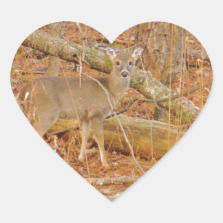 Baby Deer's eerste winter Hart Sticker