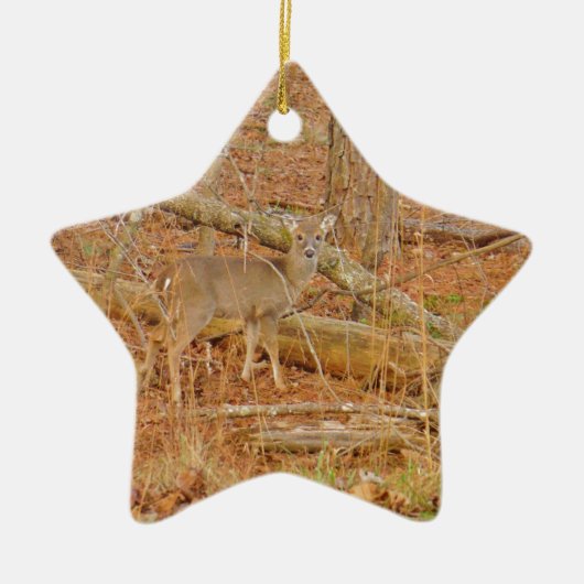 Baby Deer's eerste winter Keramisch Ornament (Voorkant)