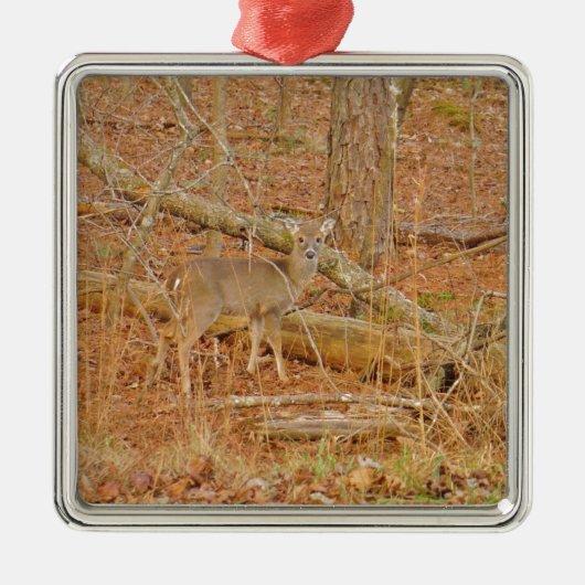 Baby Deer's eerste winter Metalen Ornament (Voorkant)
