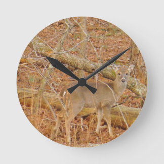 Baby Deer's eerste winter Ronde Klok