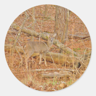 Baby Deer's eerste winter Ronde Sticker