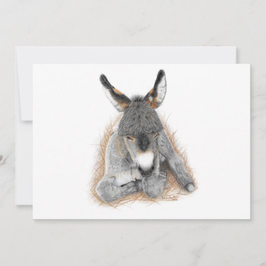 Baby Donkey Note Card Kaart (Voorkant)