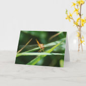 Baby Dragonfly Kaart (Gele Bloem)