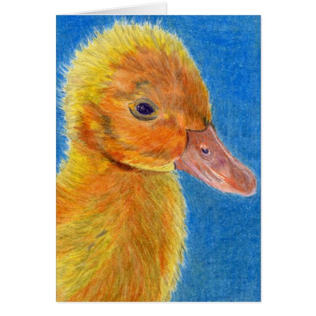 Baby Duck (Voorkant)