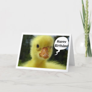 BABY DUCK ZEGT DAT JE HOOPT DAT JE VERJAARDAG GEWO KAART