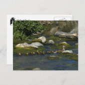 Baby Ducks 1 Carte postale (Devant / Derrière)