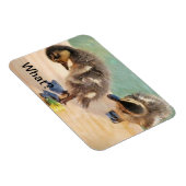 Baby Ducks kijken naar Wat? Magneet (Rechterzijde)