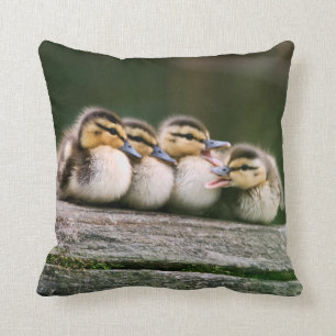 Baby Ducks Kussen