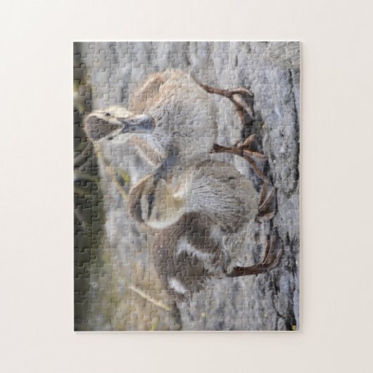 Baby Ducks Legpuzzel (Verticaal)