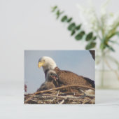 Baby Eagle 2011 Briefkaart (Staand voorkant)