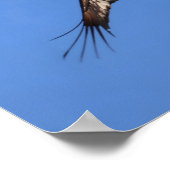 Baby eagle! poster (Hoek)