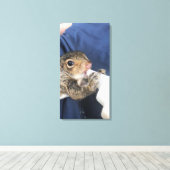 Baby eekhoorn canvas afdruk (Insitu (Houten vloer))