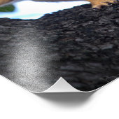 Baby eekhoorn in de boom foto afdruk (Hoek)