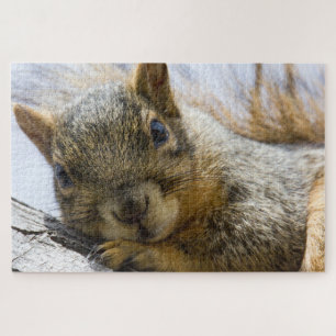 baby eekhoornpuzzel legpuzzel