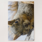 baby eekhoornpuzzel legpuzzel (Verticaal)