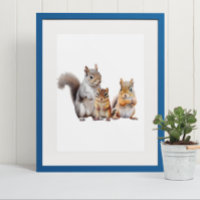 Baby Eekhoorns en Wangzakekinderopvang