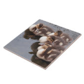 Baby Eenden Ducklings Mallard Birds Wildlife Tile Tegeltje (Zijkant)