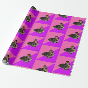 Baby Eendjes op Roze Framboos en Paarse Sorbet Cadeaupapier