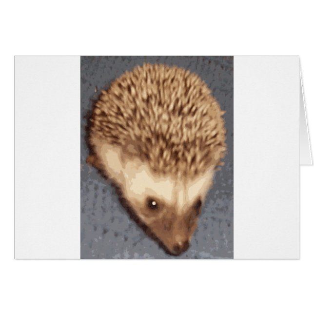 baby egel (Voorkant Horizontaal)
