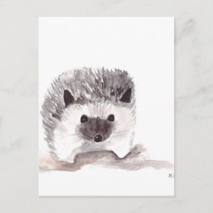 baby egel briefkaart