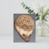 baby egel briefkaart (Staand voorkant)