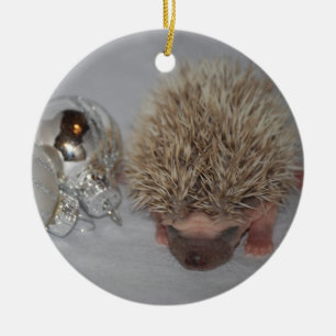 Baby egel kerstversiering keramisch ornament